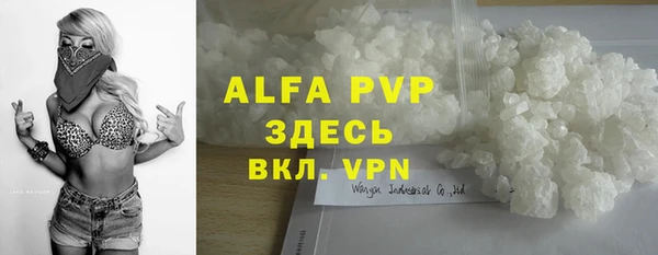 прущие грибы Абдулино
