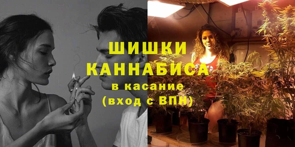 прущие грибы Абдулино