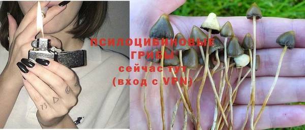 ALPHA PVP Нефтекумск