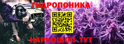 индика Жуковский