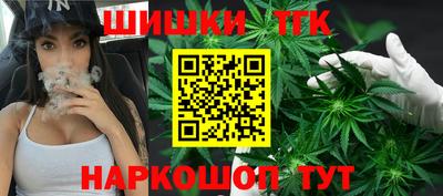 индика Жуковский