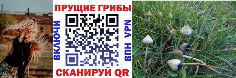 Галлюциногенные грибы MAGIC MUSHROOMS Лангепас