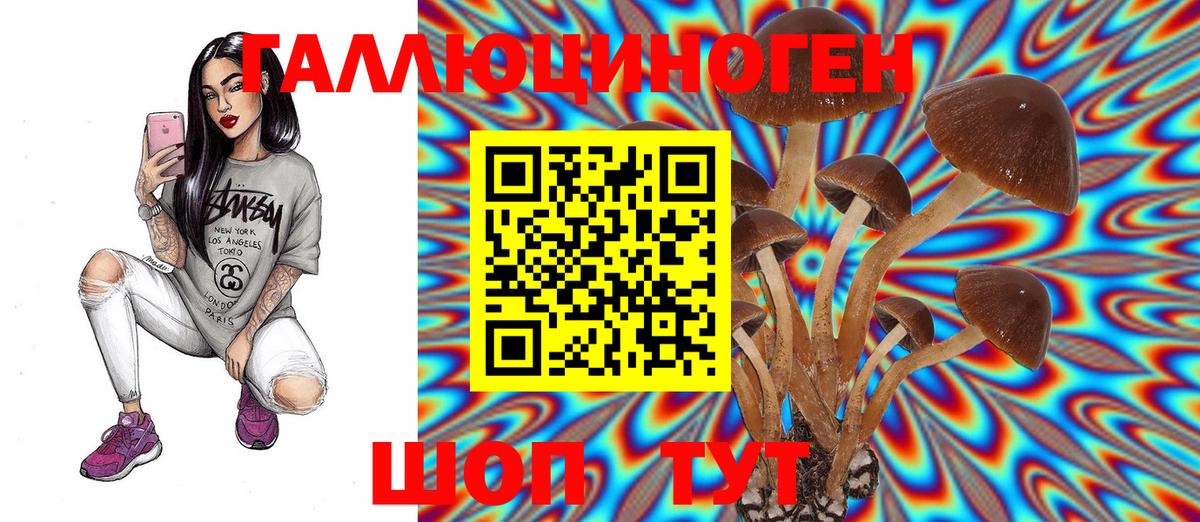 Псилоцибиновые грибы Psilocybe  Псилоцибиновые грибы прущие грибы  Вход с VPN  Лангепас 