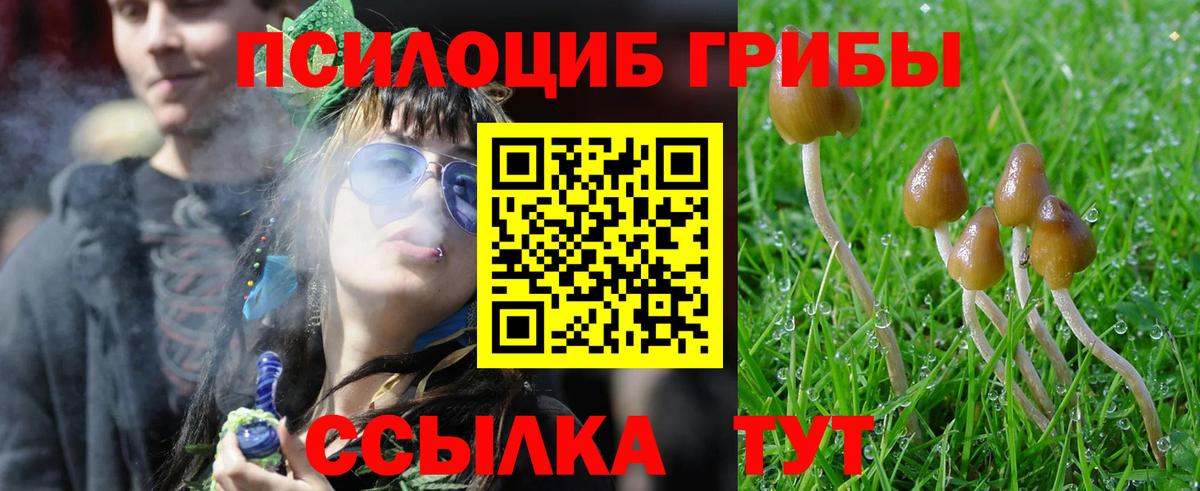Галлюциногенные грибы Psilocybe Лангепас